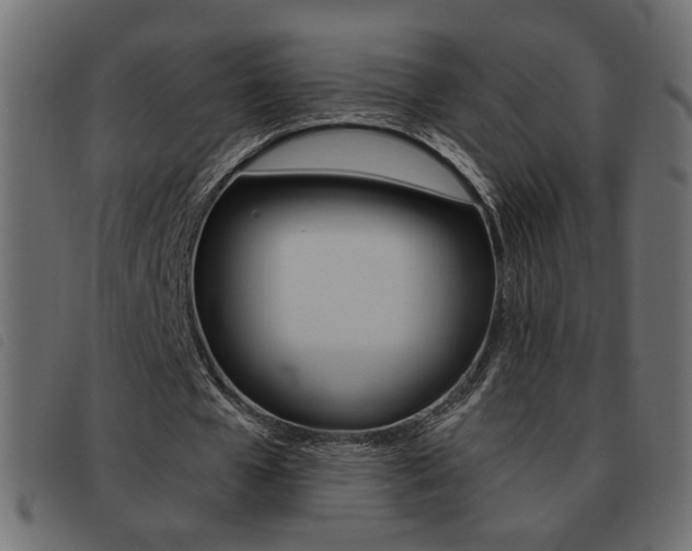 X0000093460577200710120952