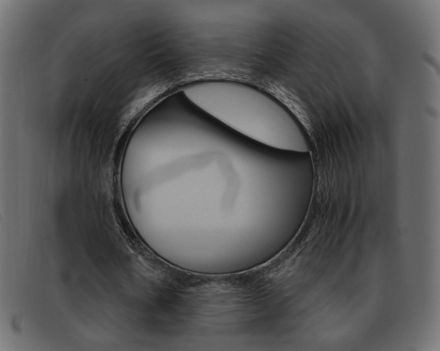X0000093460578200710120952
