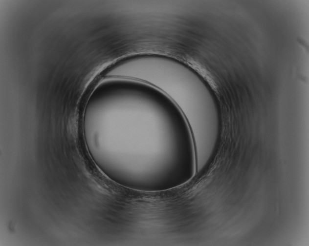 X0000093460580200710120952