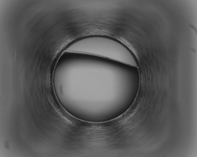 X0000093460581200710120951