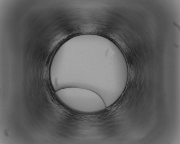 X0000093460583200710120951