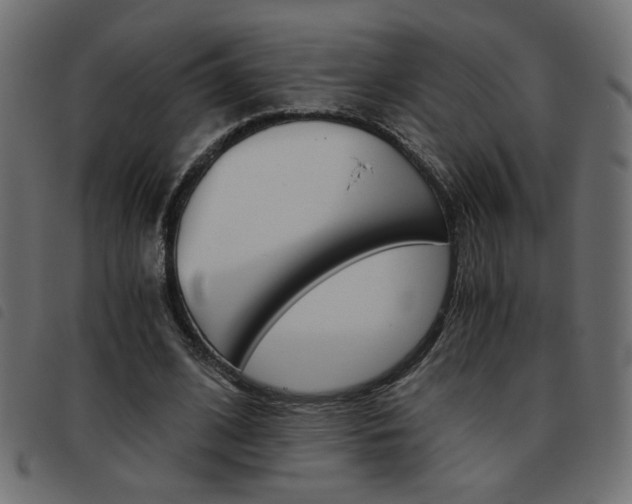 X0000093460584200710120951
