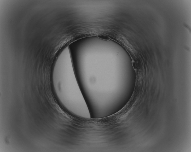 X0000093460585200710120951