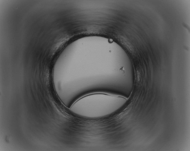 X0000093460588200710120951