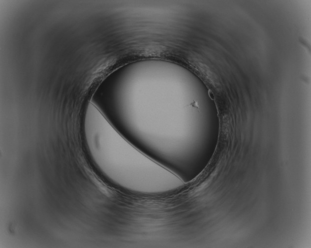 X0000093460589200710120951