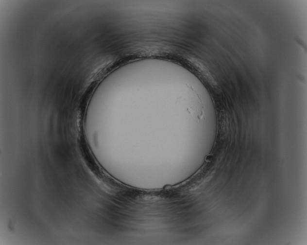 X0000093460590200710120951
