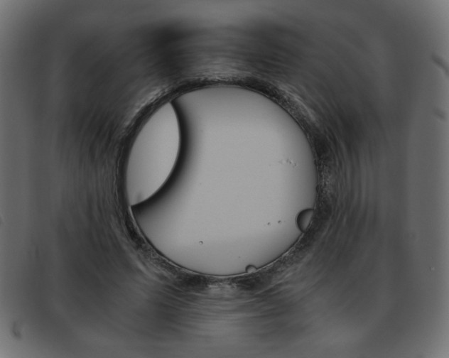 X0000093460591200710120951