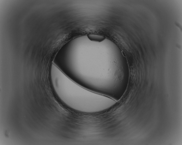 X0000093460593200710120951