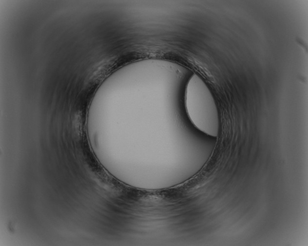 X0000093460594200710120951