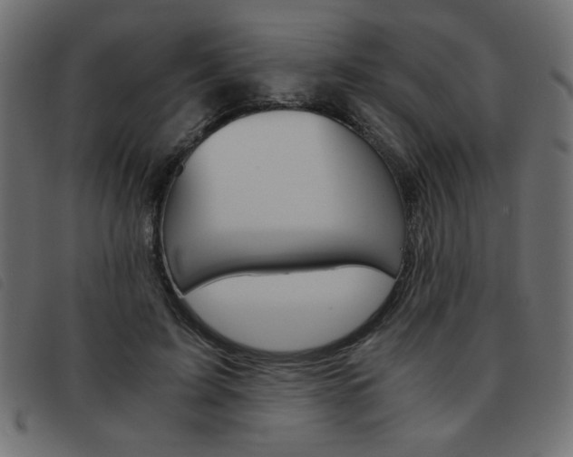 X0000093460595200710120951
