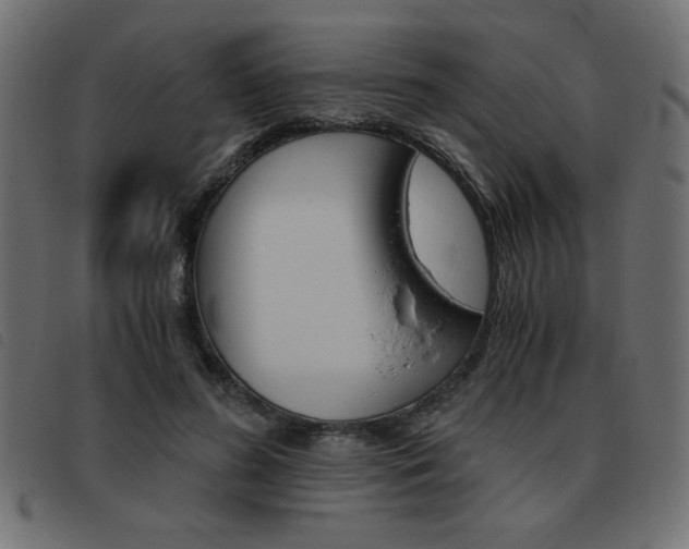 X0000093460596200710120951