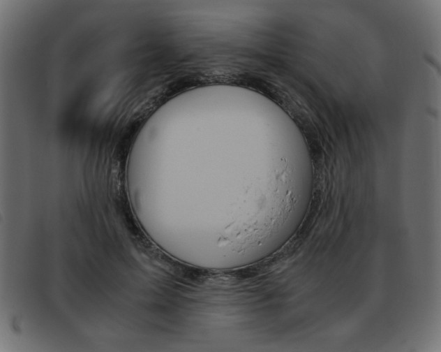 X0000093460599200710120951