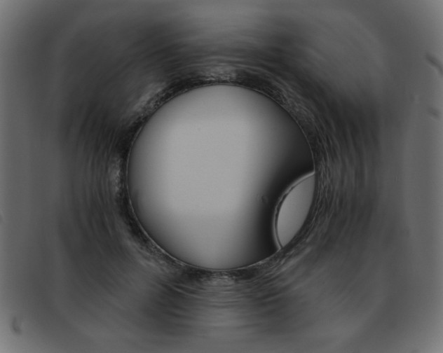 X0000093460600200710120951