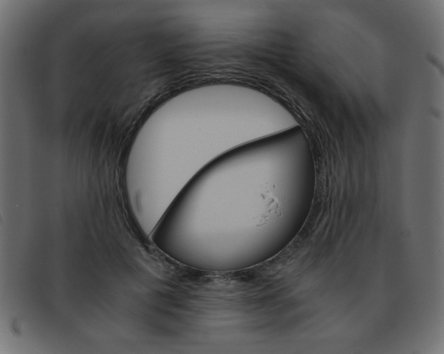 X0000093460601200710120951