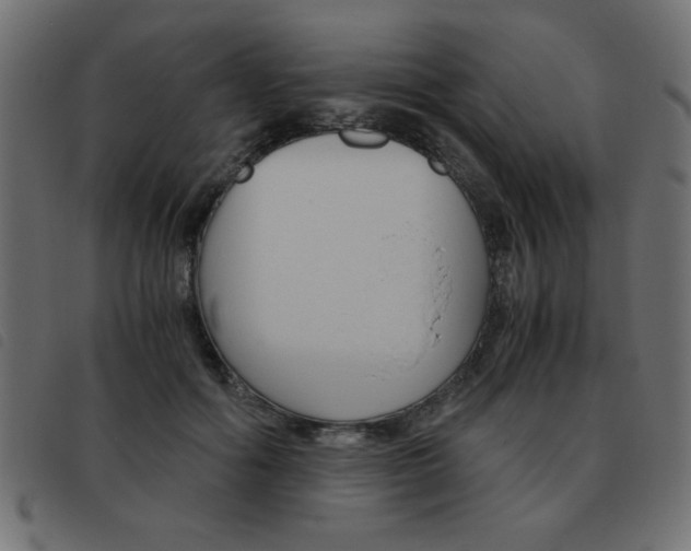 X0000093460602200710120951