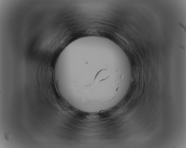 X0000093460603200710120951
