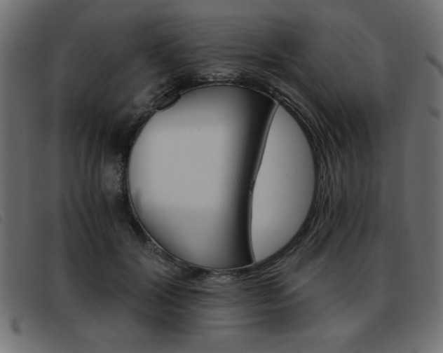 X0000093460604200710120951