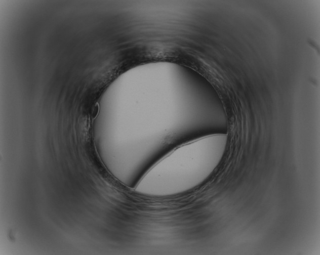 X0000093460605200710120951