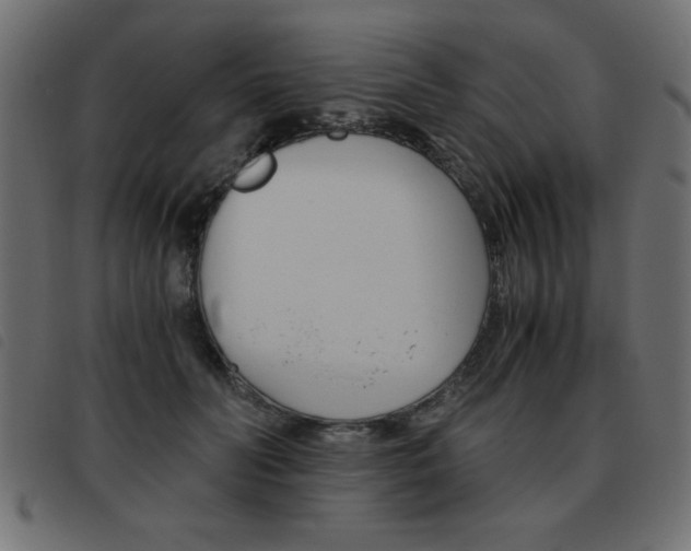 X0000093460606200710120951