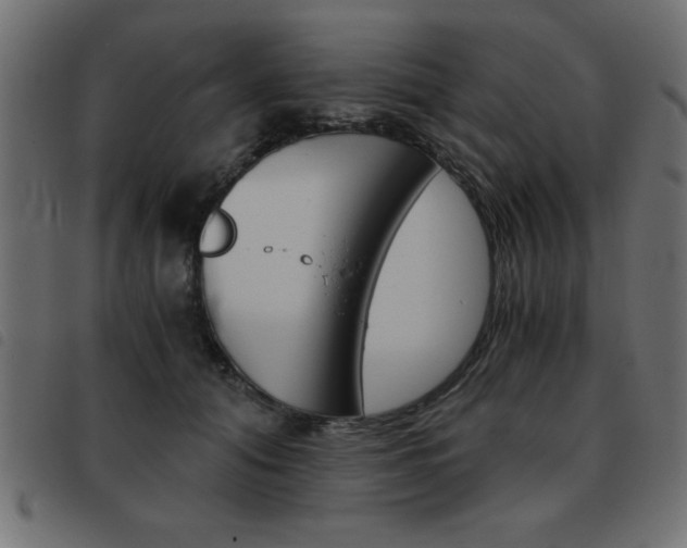 X0000093460608200710120951