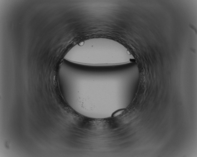 X0000093460615200710120951