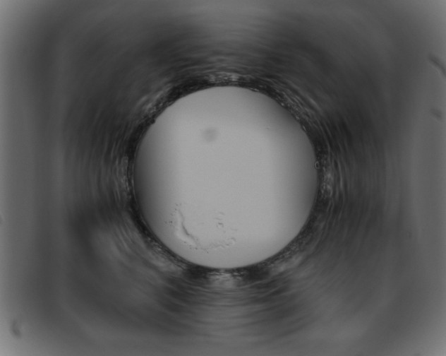 X0000093460616200710120951