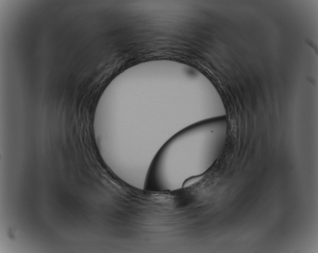 X0000093460617200710120951