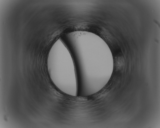 X0000093460619200710120951