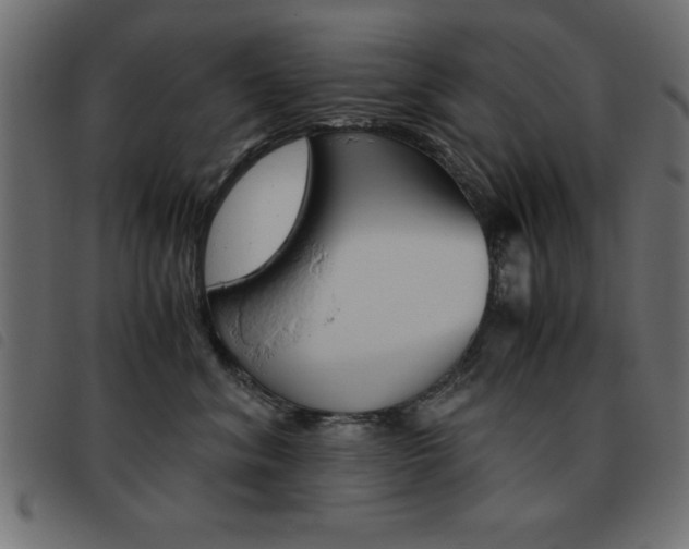 X0000093460620200710120951