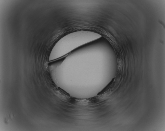X0000093460621200710120951