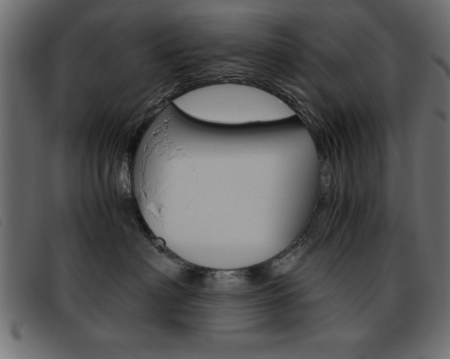 X0000093460622200710120951