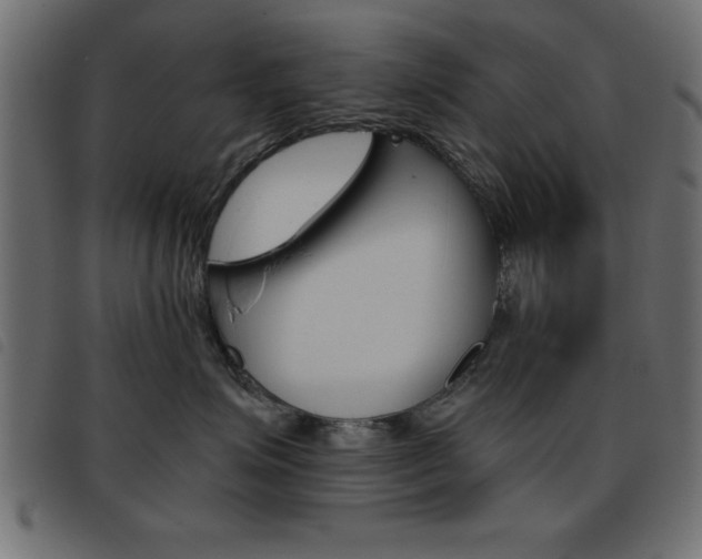 X0000093460623200710120951