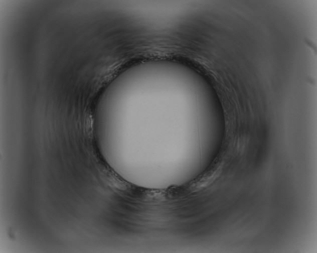 X0000093460624200710120951