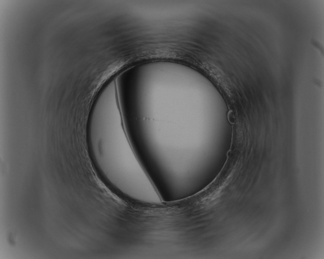 X0000093460625200710120950