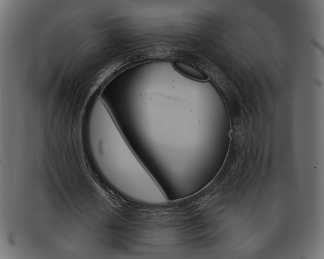 X0000093460626200710120950