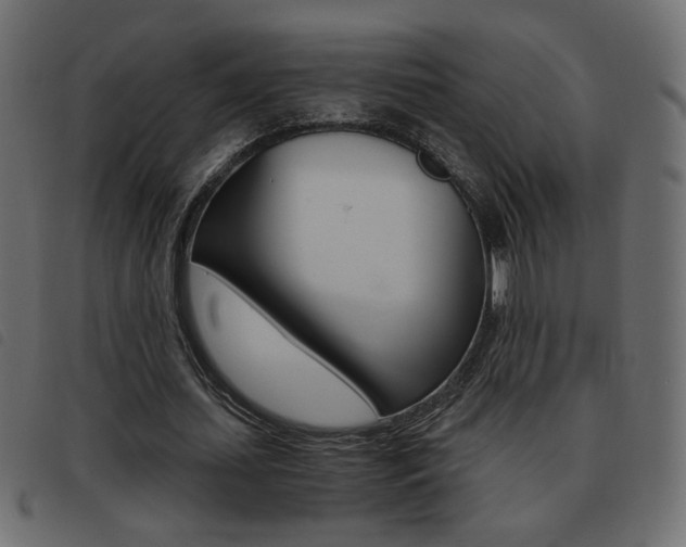 X0000093460627200710120950