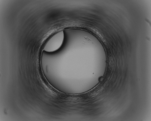 X0000093460629200710120950