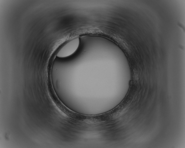 X0000093460630200710120950
