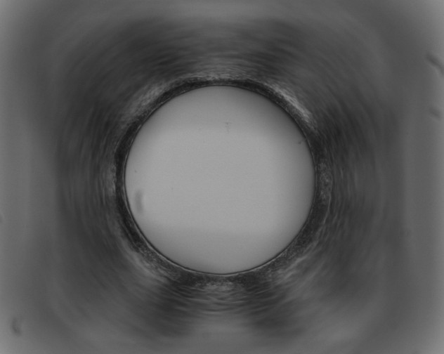 X0000093460631200710120950