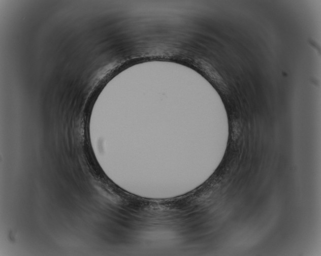 X0000093460632200710120950