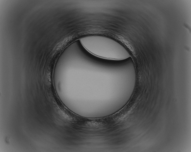 X0000093460633200710120950