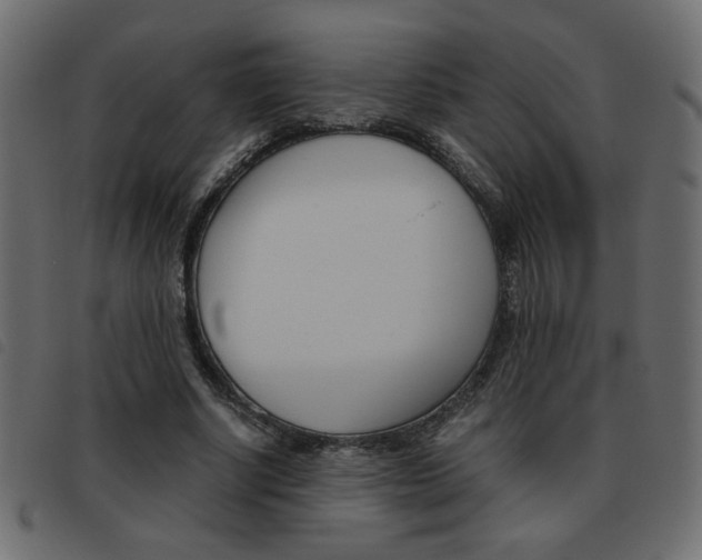X0000093460634200710120950