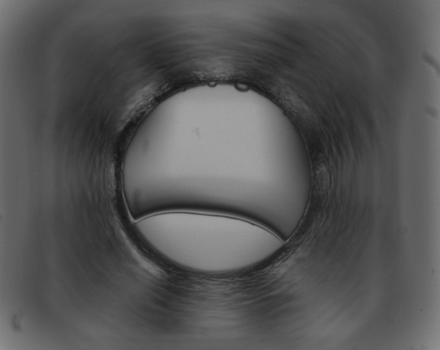 X0000093460638200710120950