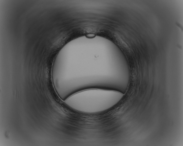 X0000093460639200710120950