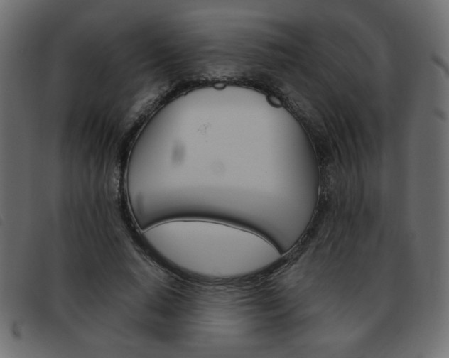 X0000093460640200710120950