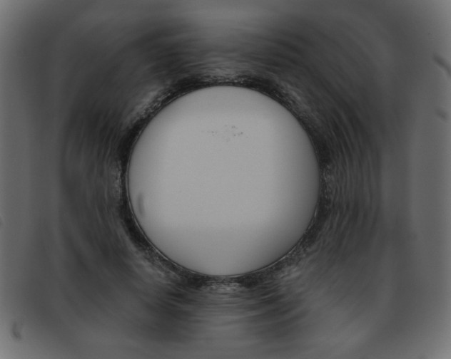 X0000093460642200710120950
