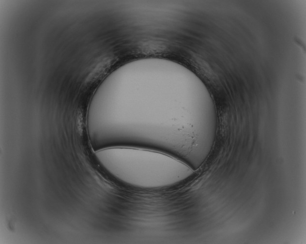 X0000093460644200710120951