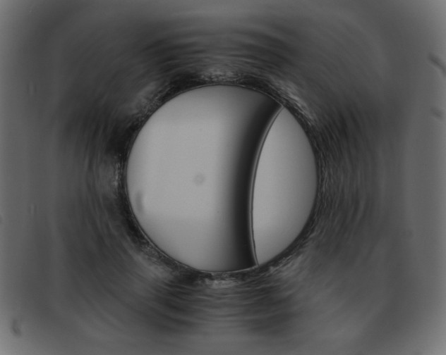X0000093460645200710120951