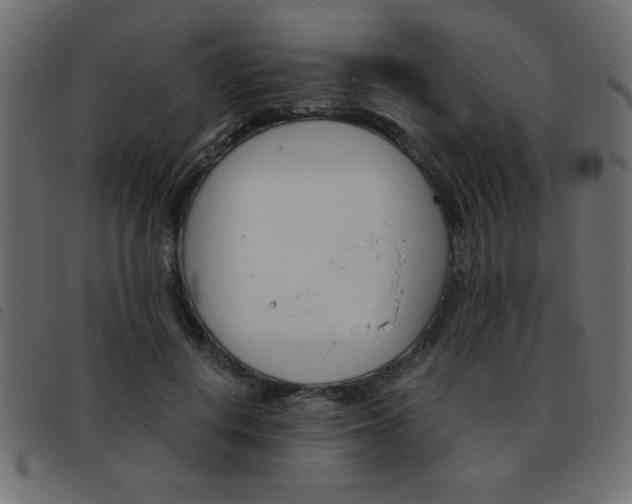 X0000093460648200710120951