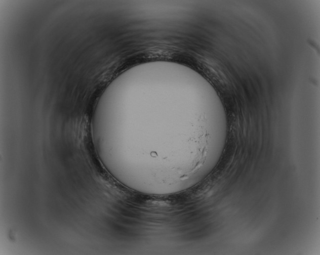 X0000093460649200710120951